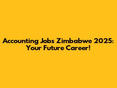 Accounting Jobs Zimbabwe 2025: Your Future Career!